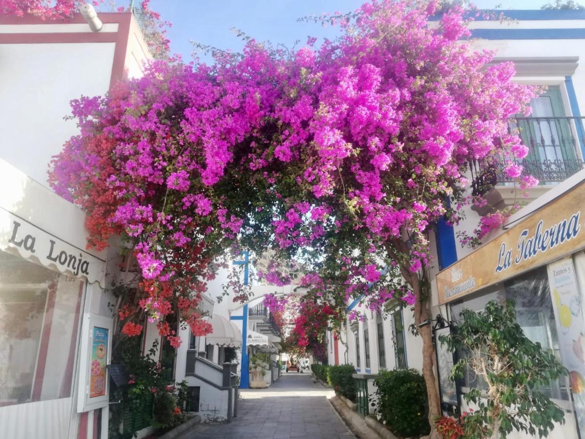 Pension Playa Puerto De Mogan Kültér fotó